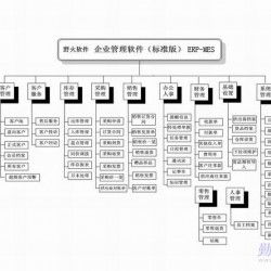 福建廈門野火軟件工作室 中小企業管理軟件開發的可靠伙伴