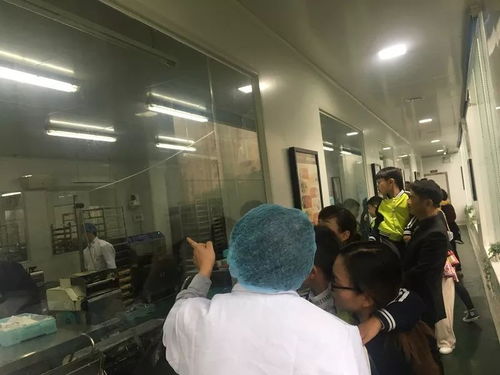 相約蛋糕工廠 品味甜蜜時光——記龍灣區(qū)第九幼兒園中二班參觀蛋糕生產(chǎn)工廠社會實(shí)踐活動